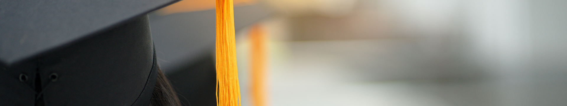 need different meta data for this image